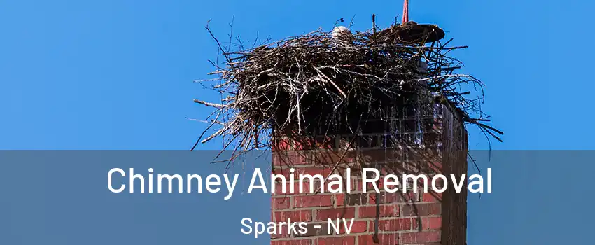  Chimney Animal Removal Sparks - NV
