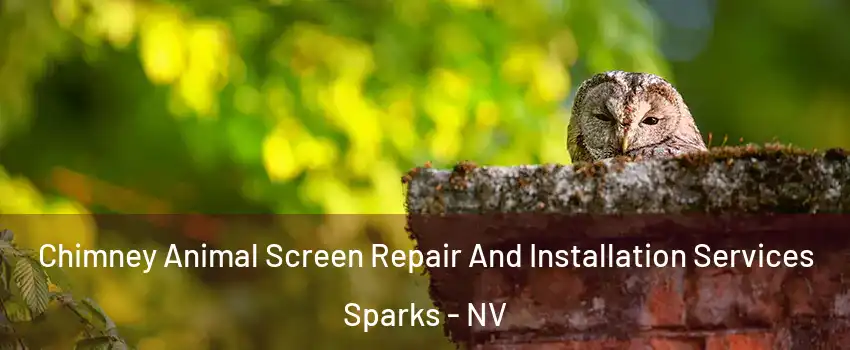  Chimney Animal Screen Repair And Installation Services Sparks - NV