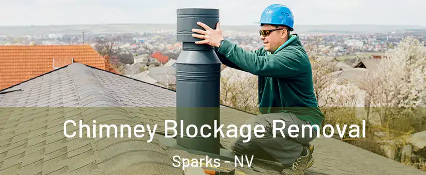  Chimney Blockage Removal Sparks - NV