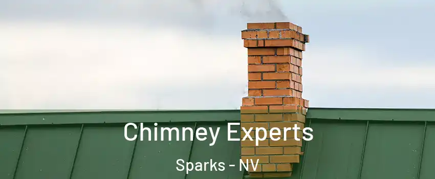  Chimney Experts Sparks - NV