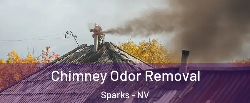  Chimney Odor Removal Sparks - NV