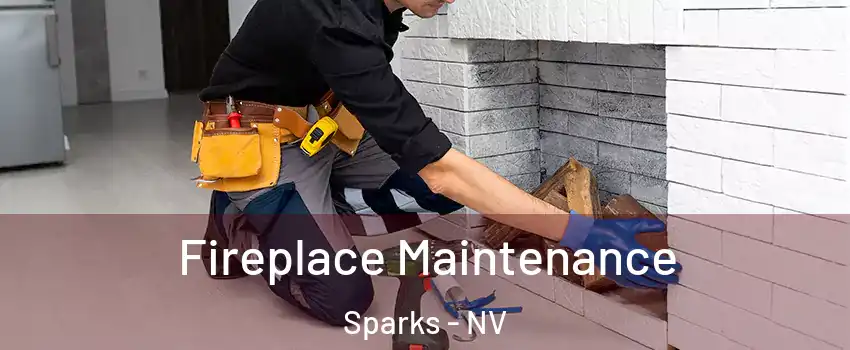  Fireplace Maintenance Sparks - NV