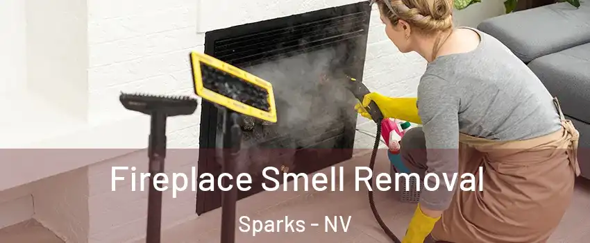  Fireplace Smell Removal Sparks - NV