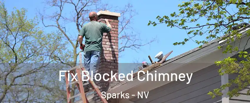  Fix Blocked Chimney Sparks - NV