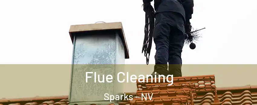  Flue Cleaning Sparks - NV