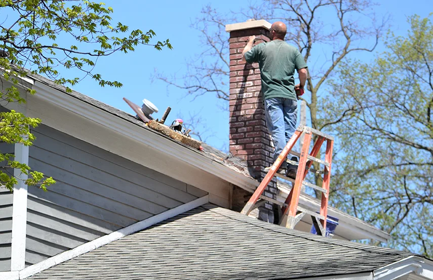 Chimney & Fireplace Inspections Services in Sparks, NV