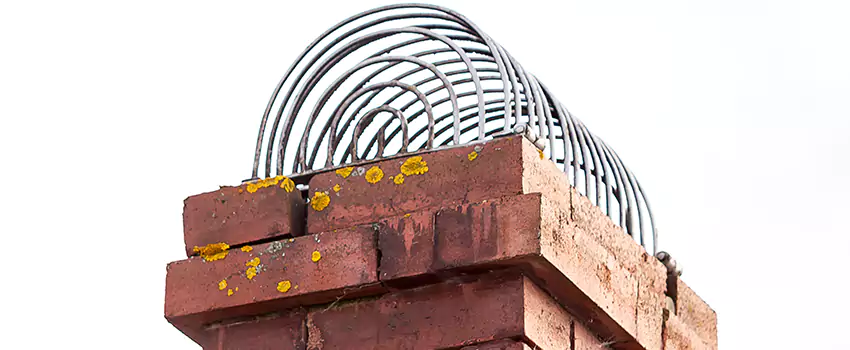 Chimney Crown Problems in Sparks, Nevada