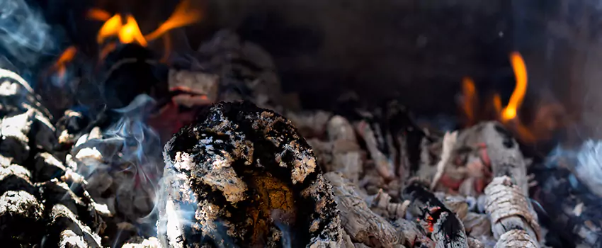 Creosote Removal Experts in Sparks, NV