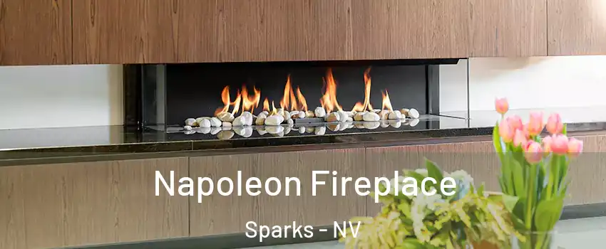  Napoleon Fireplace Sparks - NV